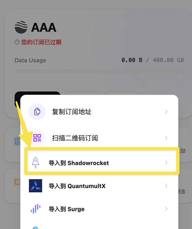 手动导入到 Shadowrocket