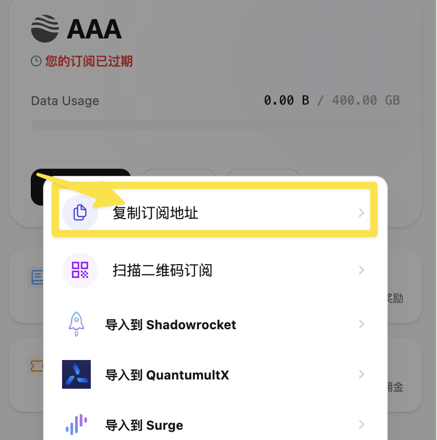 手动导入到 Shadowrocket