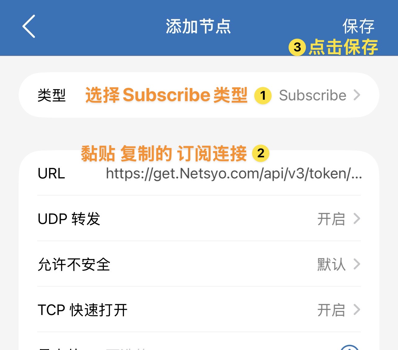 手动导入到 Shadowrocket