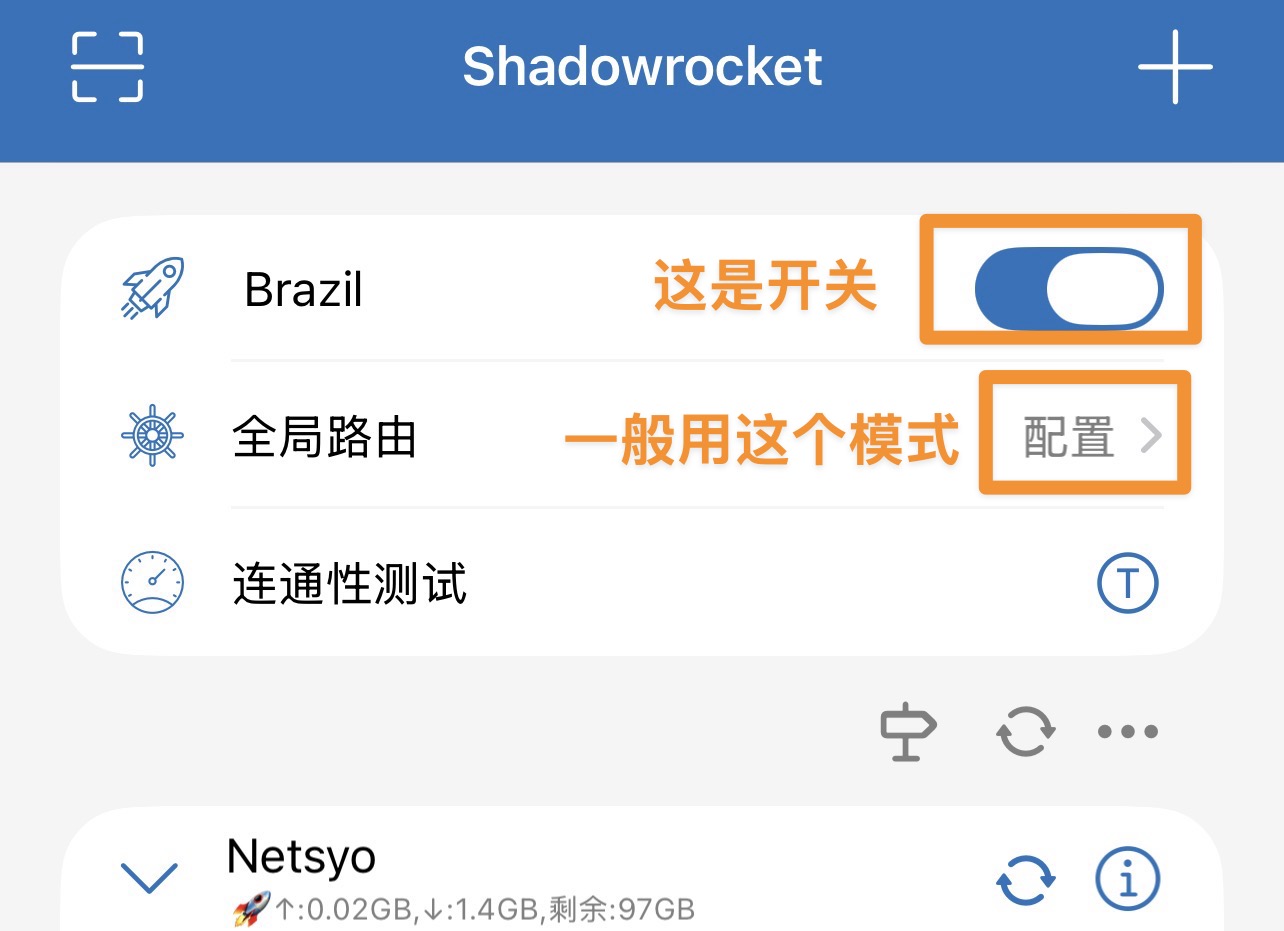 手动导入到 Shadowrocket
